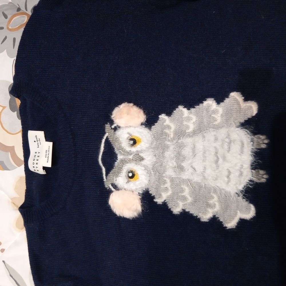 ⚡Host pick⚡ Kate Spade owl sweater wool and faux fur EUC
